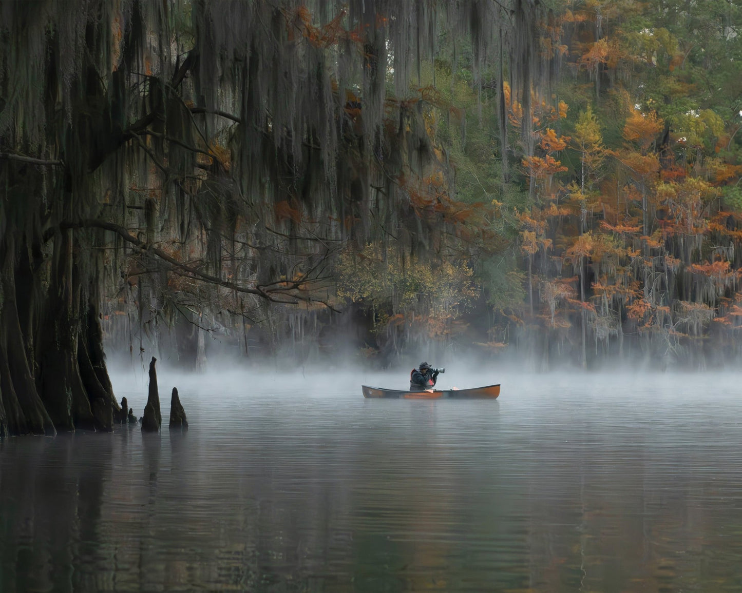 Foggy Canoe Lake
