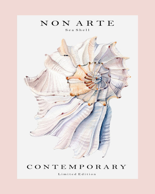 Contemporary Sea Shell