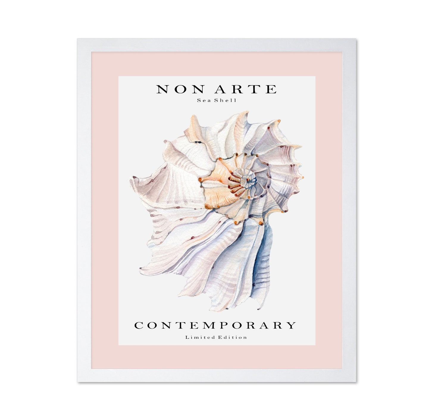 Contemporary Sea Shell