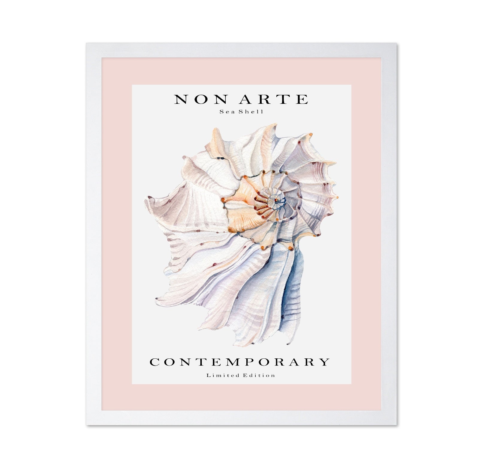 Contemporary Sea Shell
