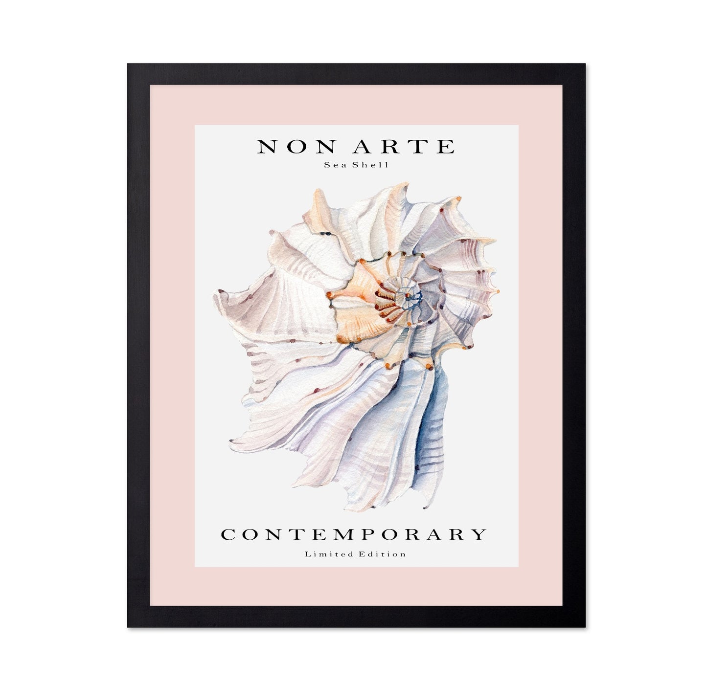 Contemporary Sea Shell