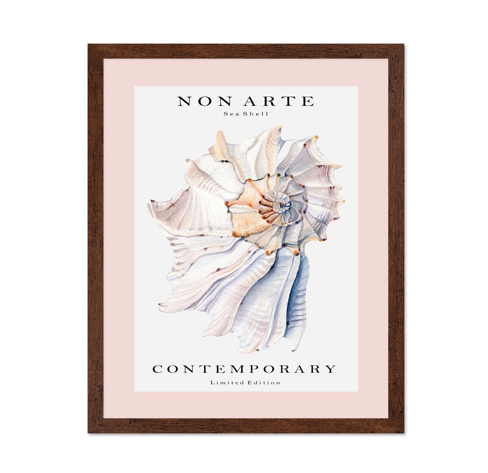 Contemporary Sea Shell