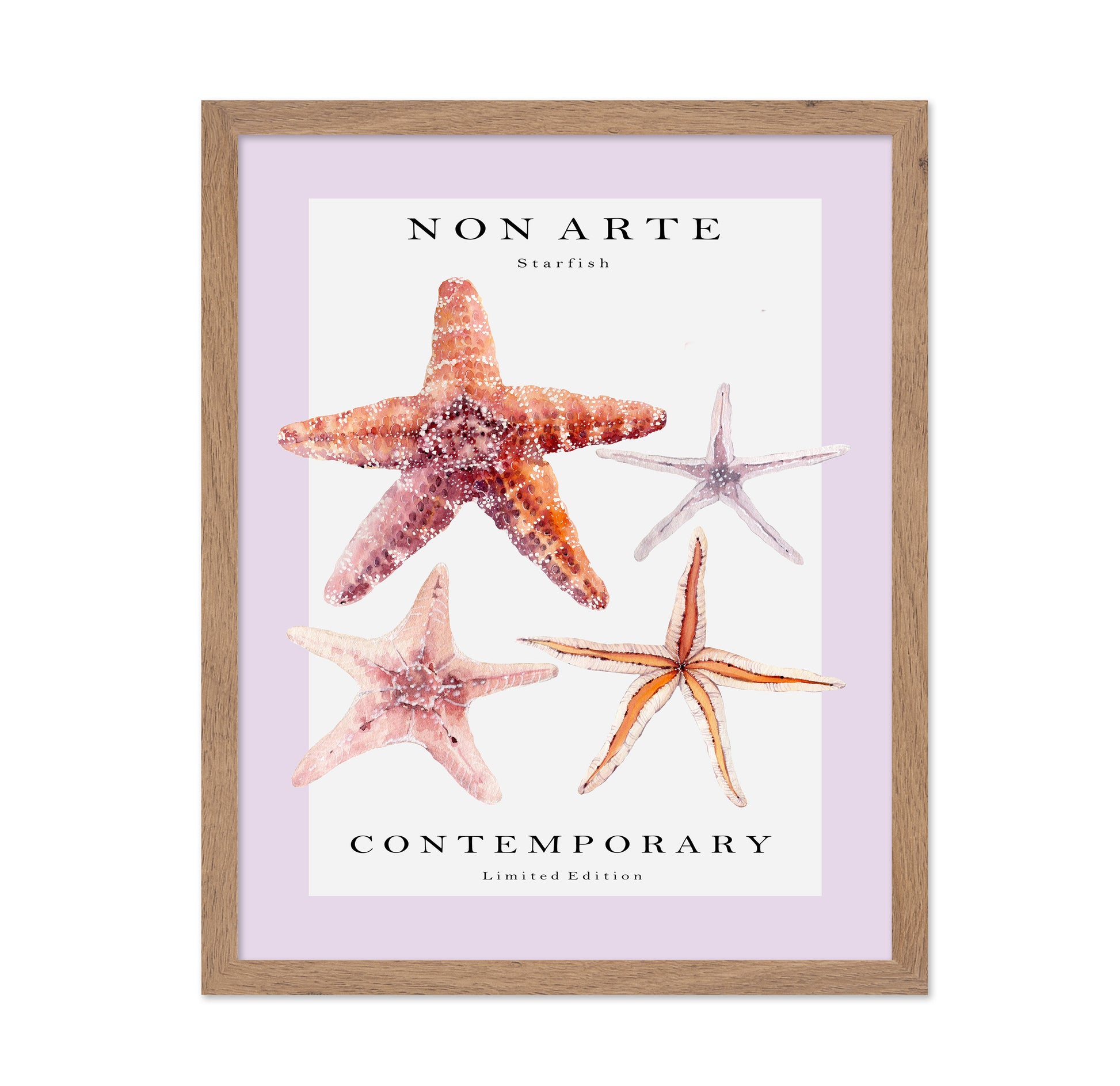 Contemporary Starfish