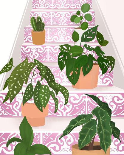 Pink Stair Plants