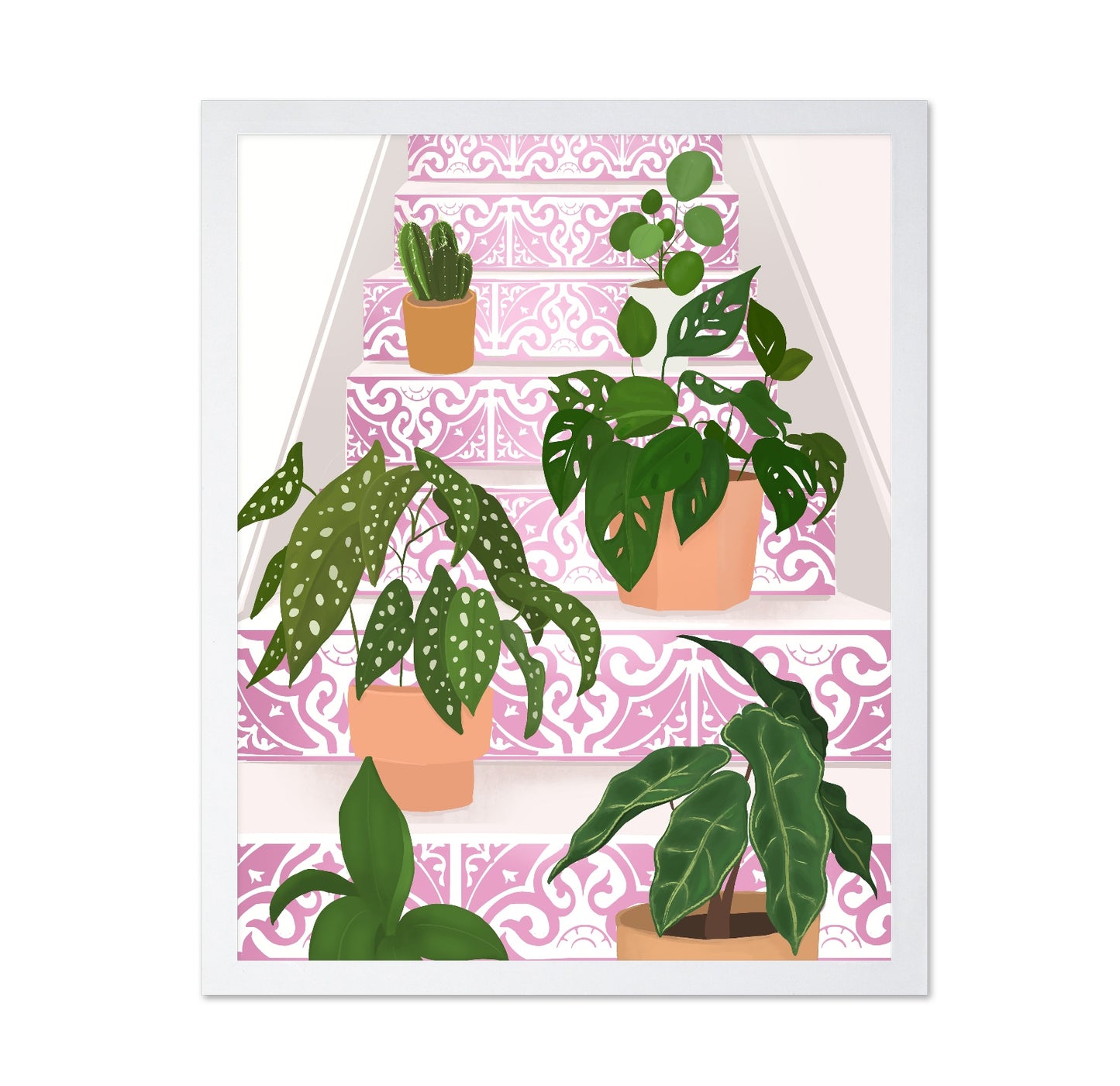 Pink Stair Plants