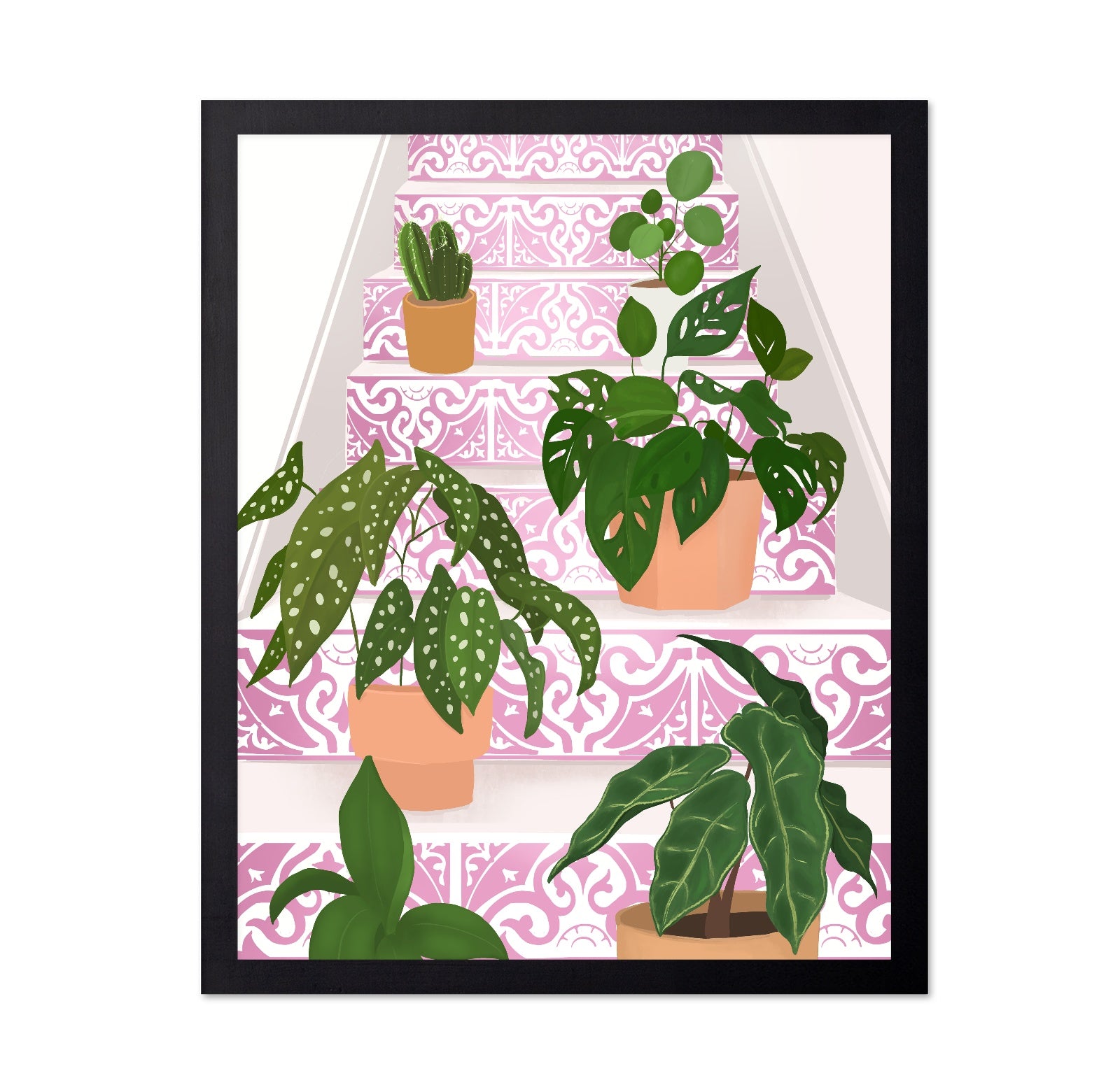Pink Stair Plants