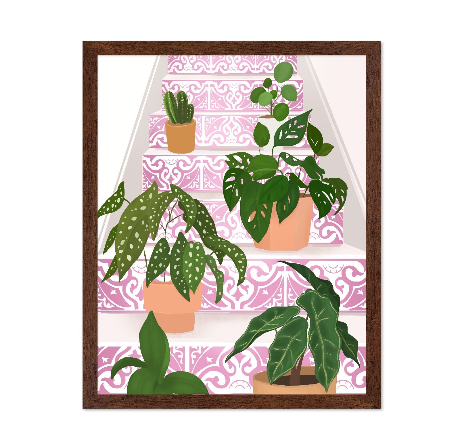 Pink Stair Plants