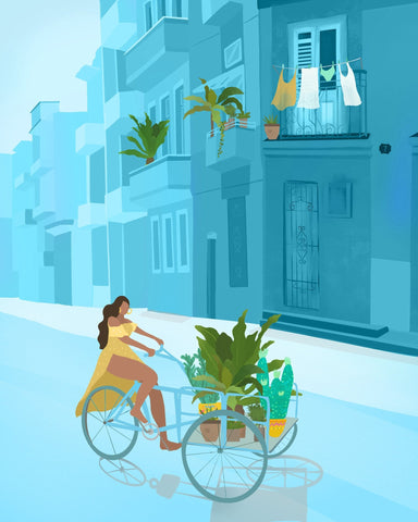 Havana Bicycle Street
