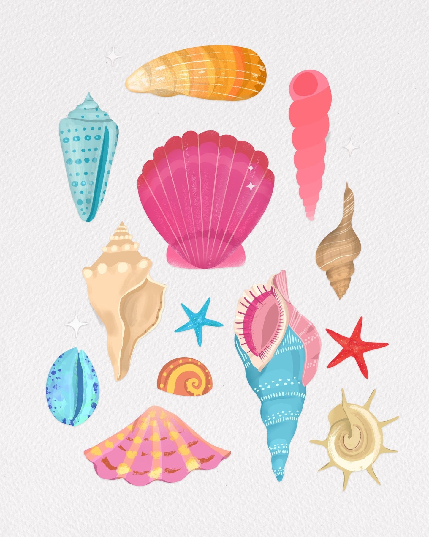 Colorful Seashell Set
