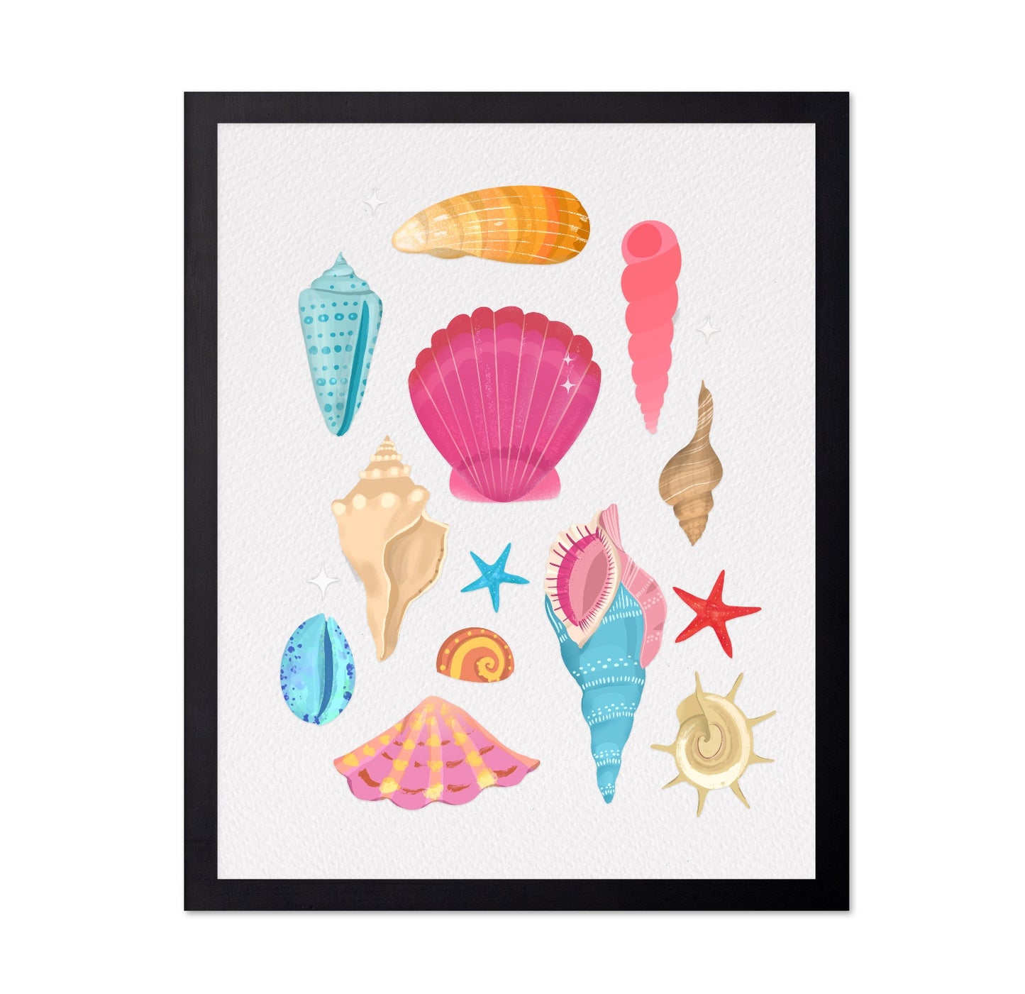 Colorful Seashell Set
