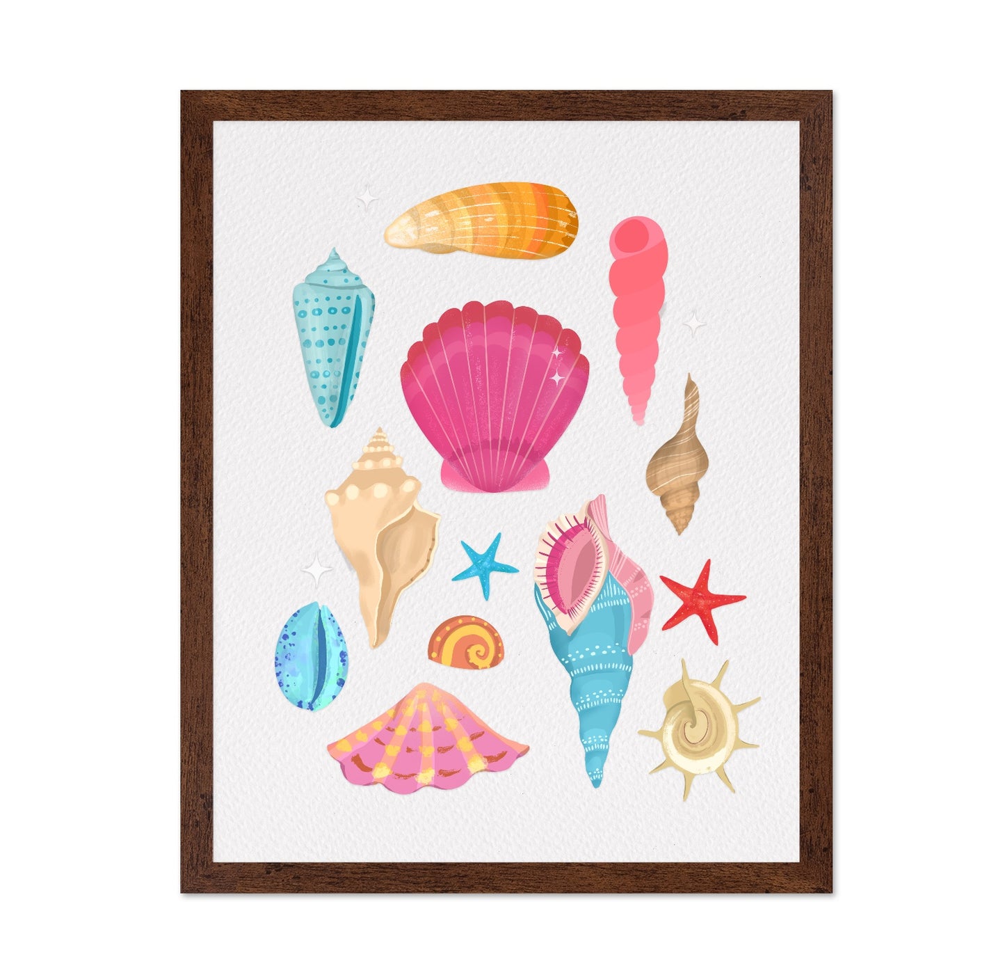 Colorful Seashell Set