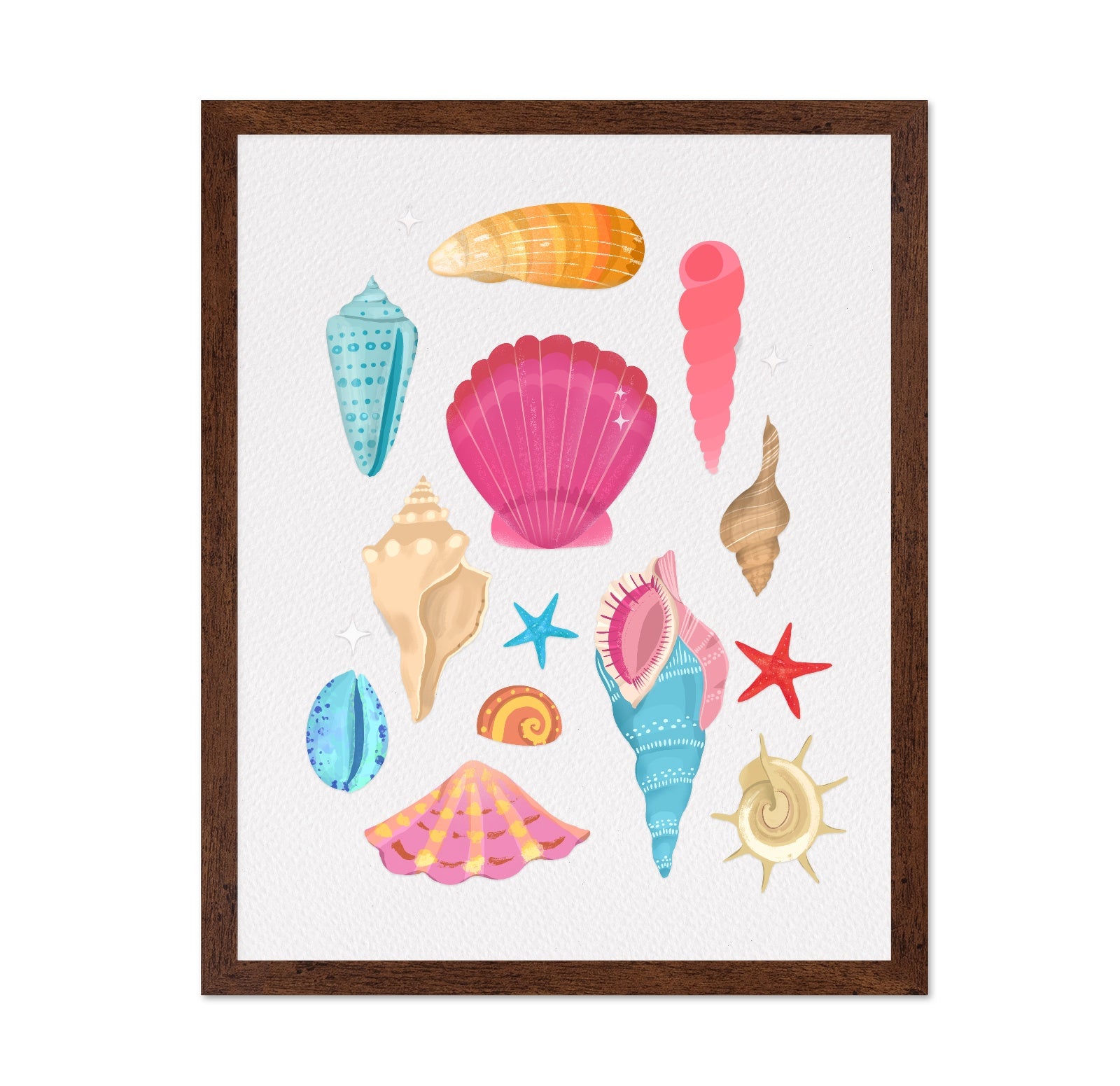 Colorful Seashell Set