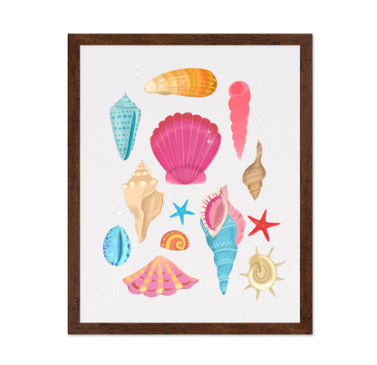 Colorful Seashell Set