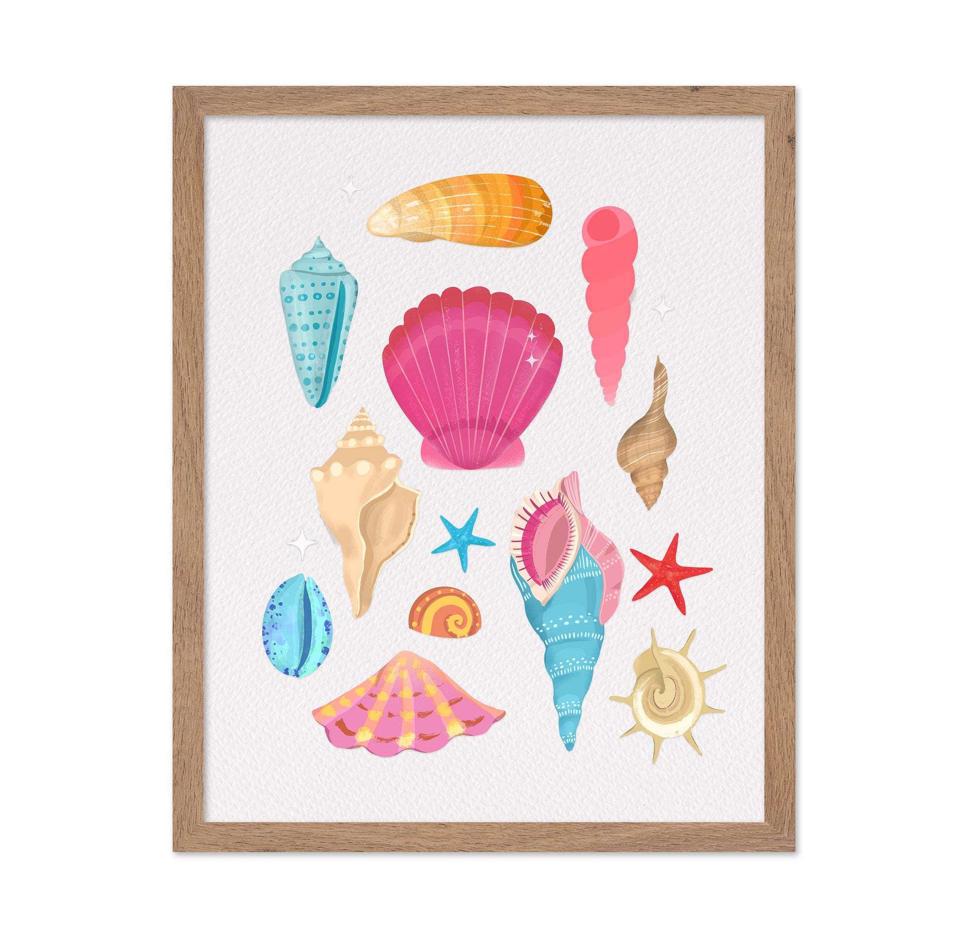 Colorful Seashell Set