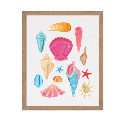 Colorful Seashell Set
