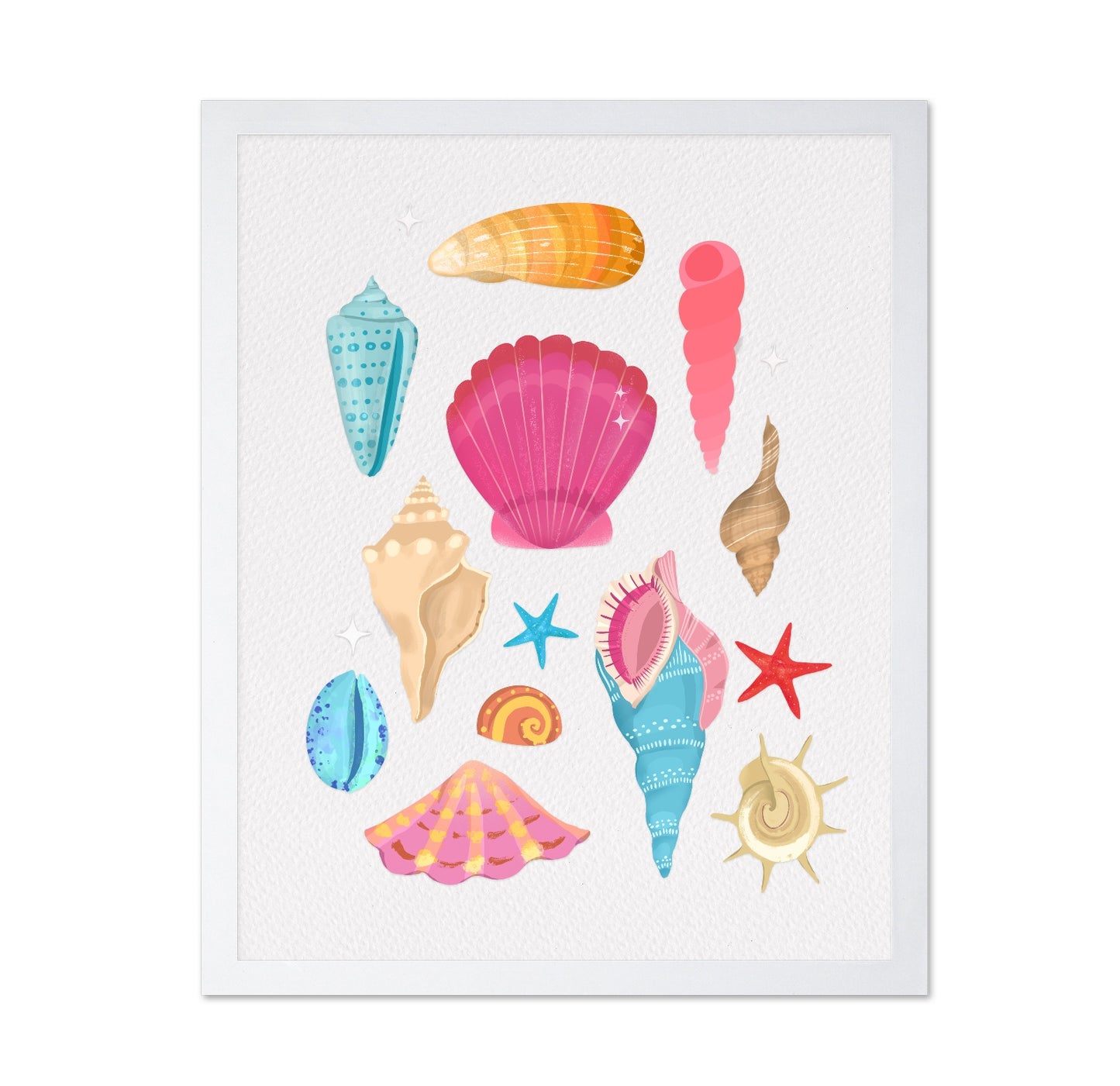 Colorful Seashell Set