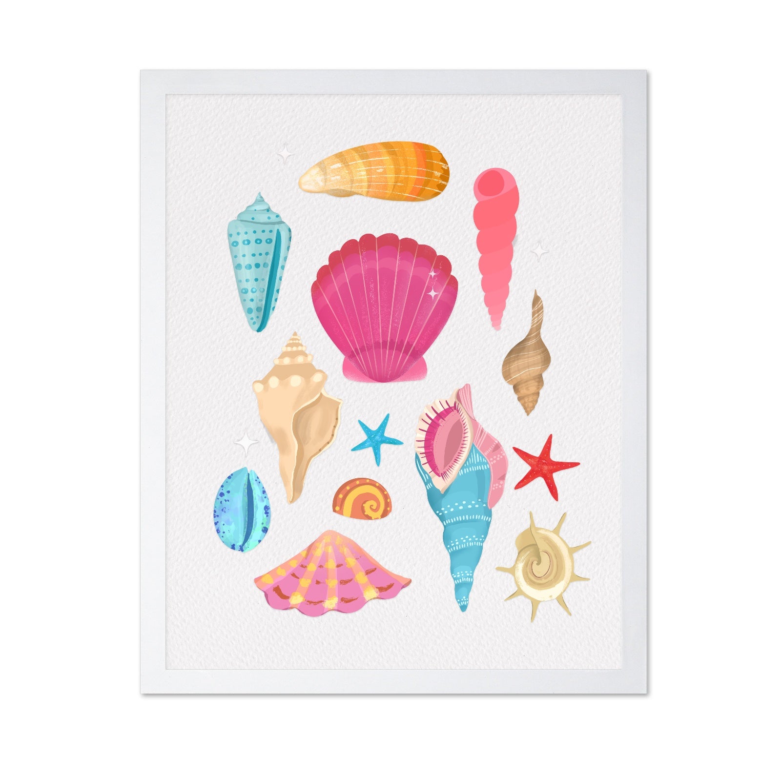 Colorful Seashell Set
