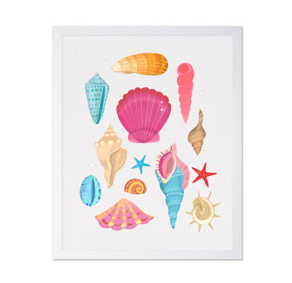 Colorful Seashell Set