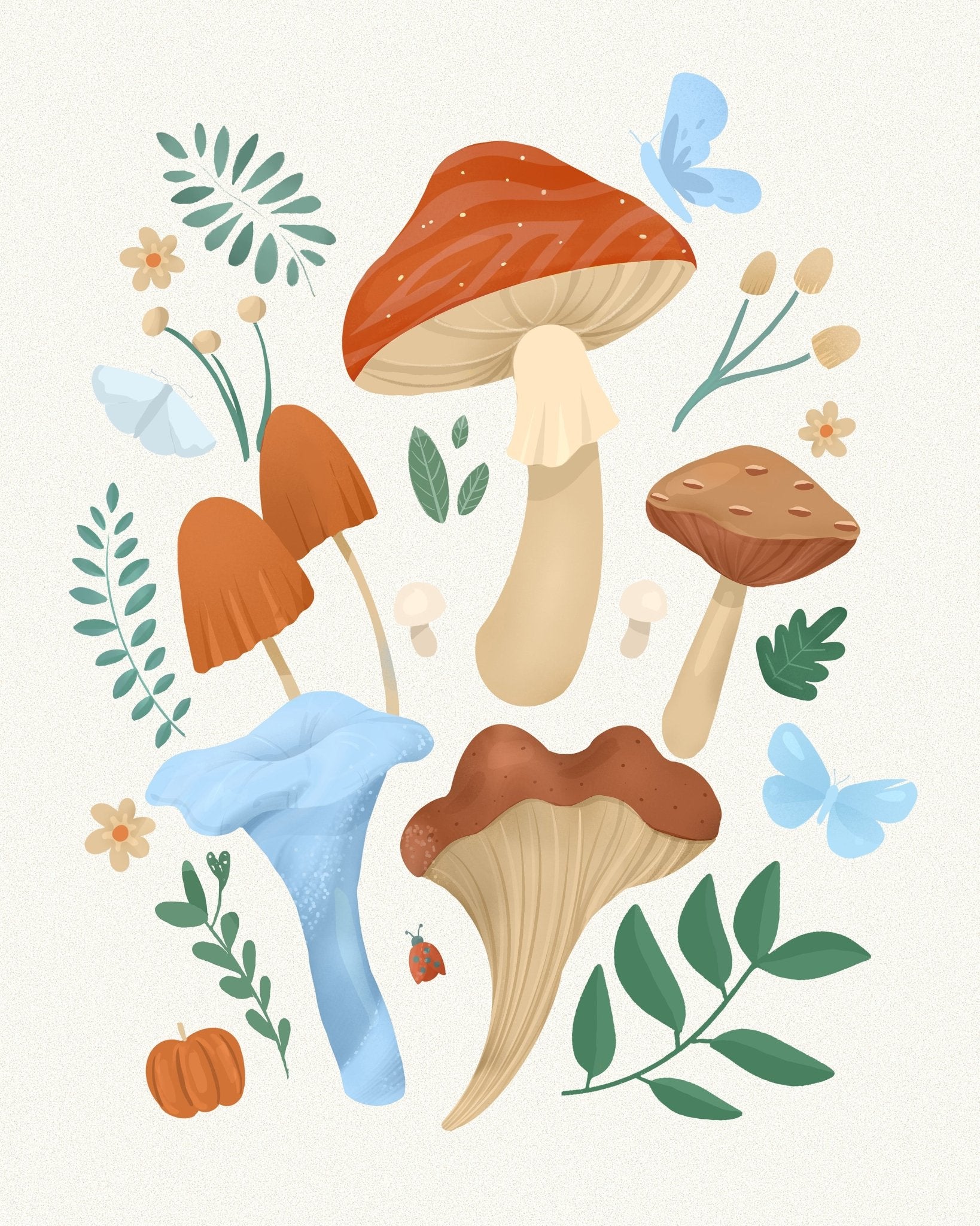 Colorful Mushroom Set