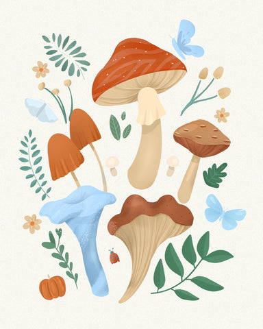 Colorful Mushroom Set
