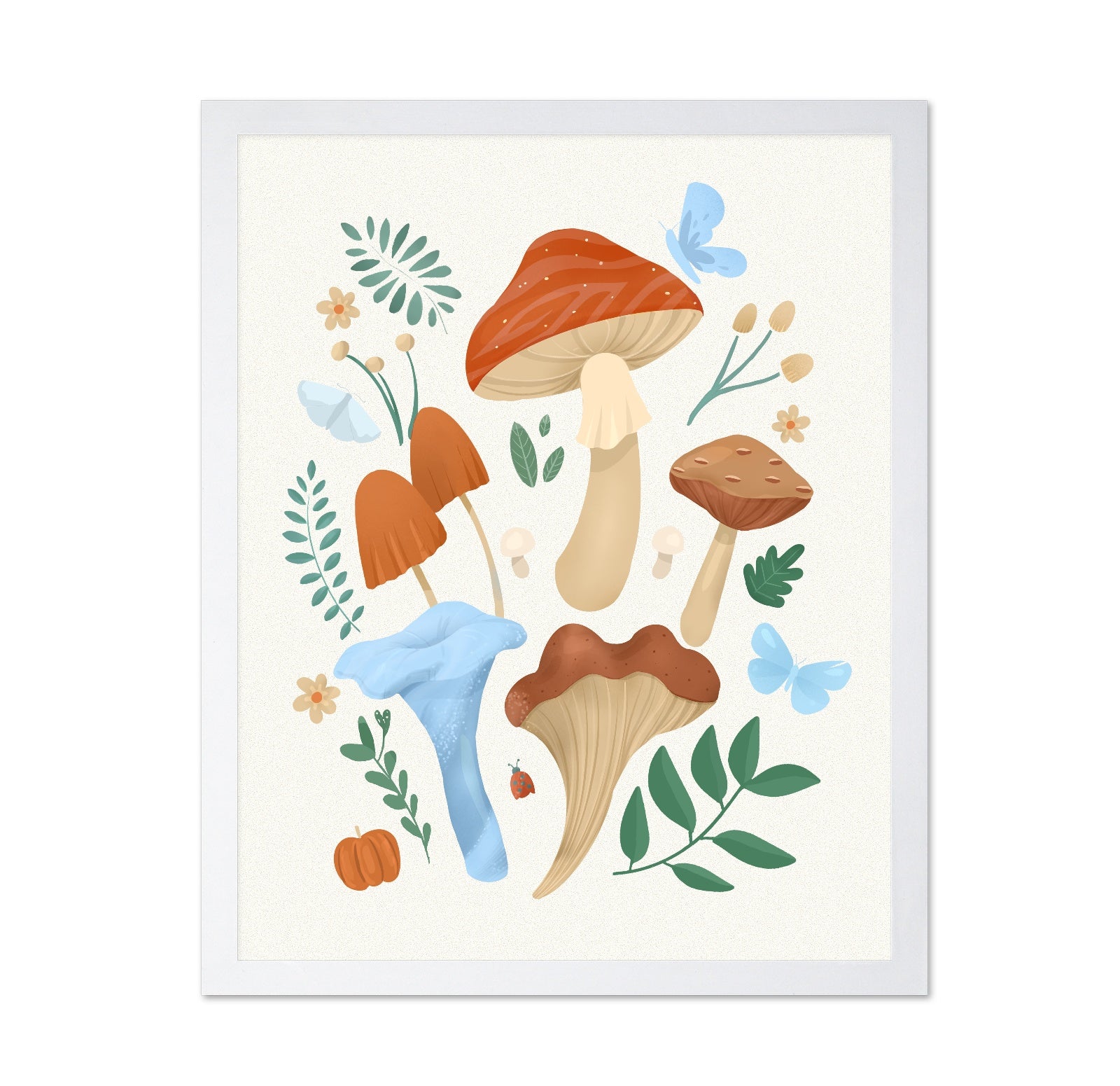 Colorful Mushroom Set