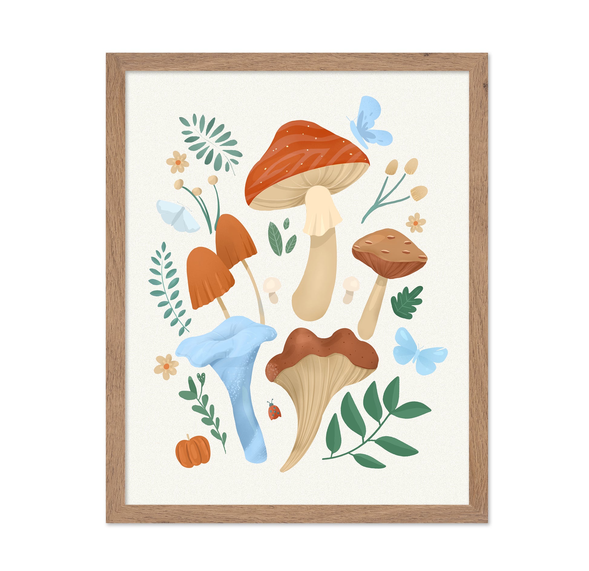 Colorful Mushroom Set