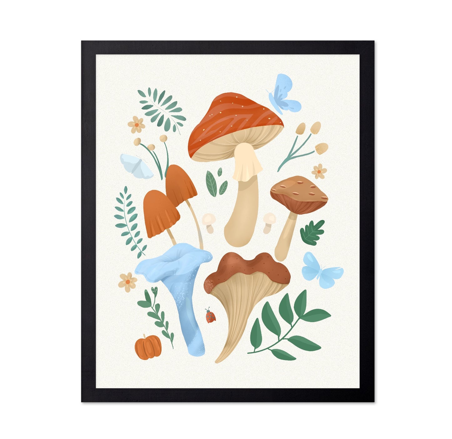 Colorful Mushroom Set