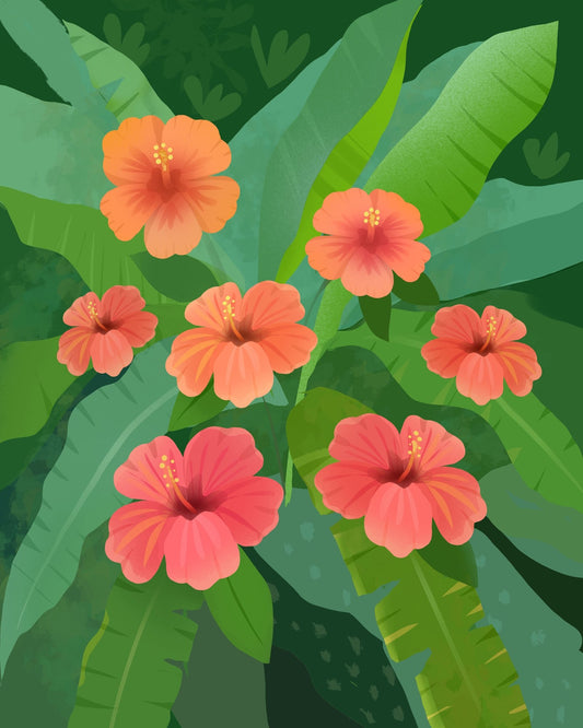 Tropical Hibiscus