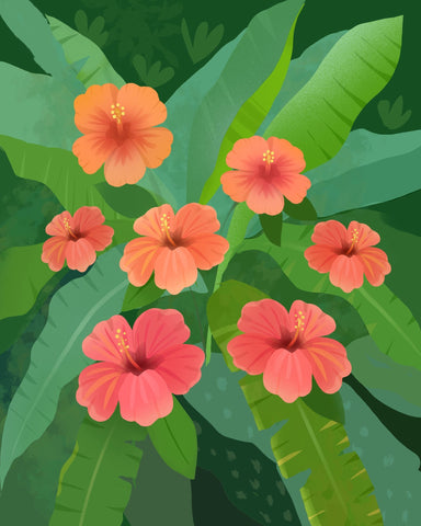 Tropical Hibiscus