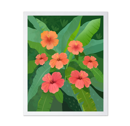 Tropical Hibiscus