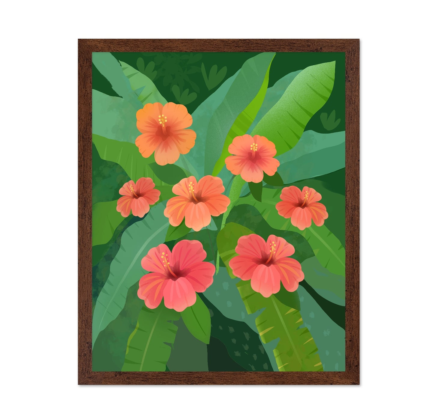 Tropical Hibiscus