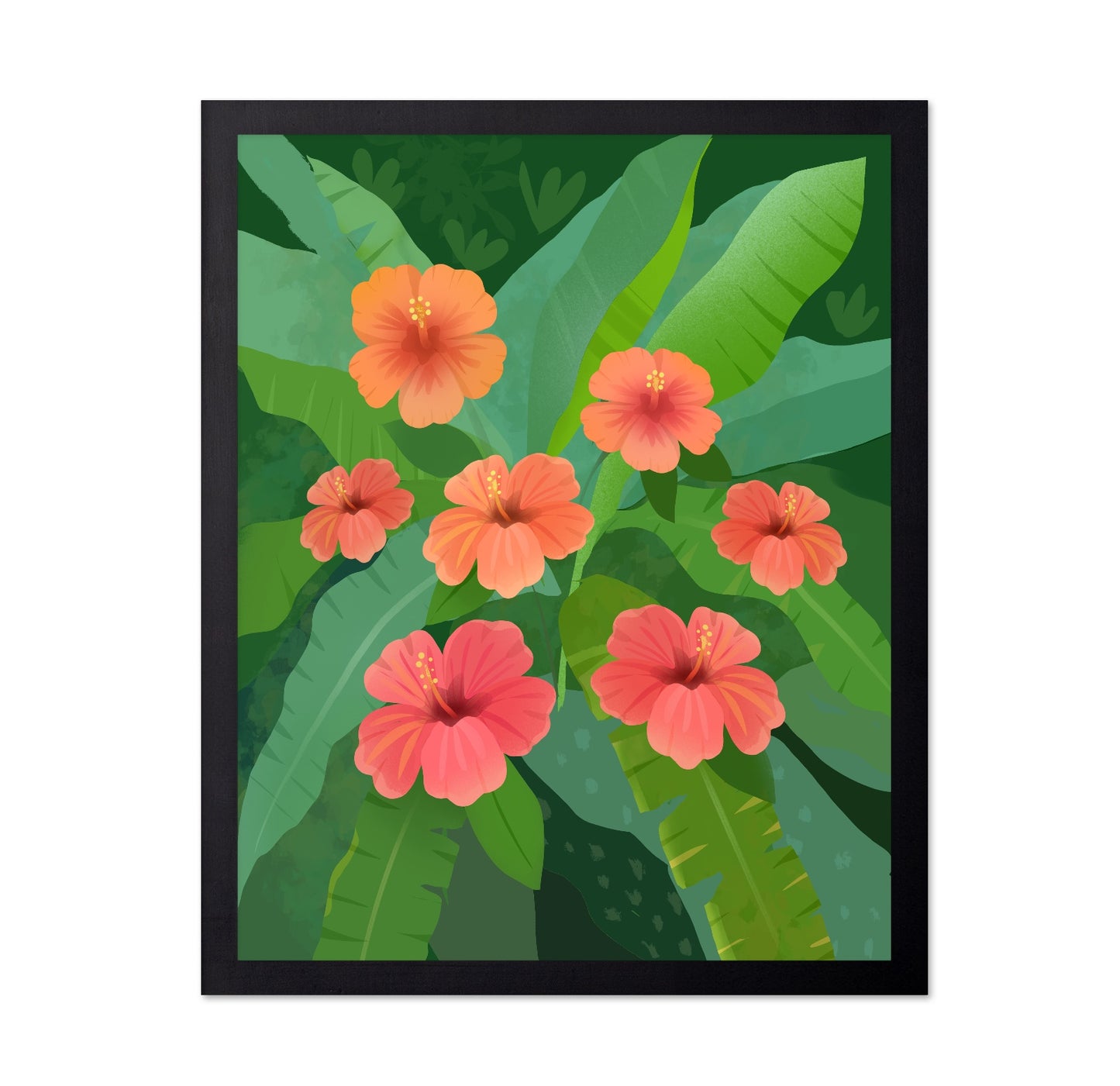 Tropical Hibiscus