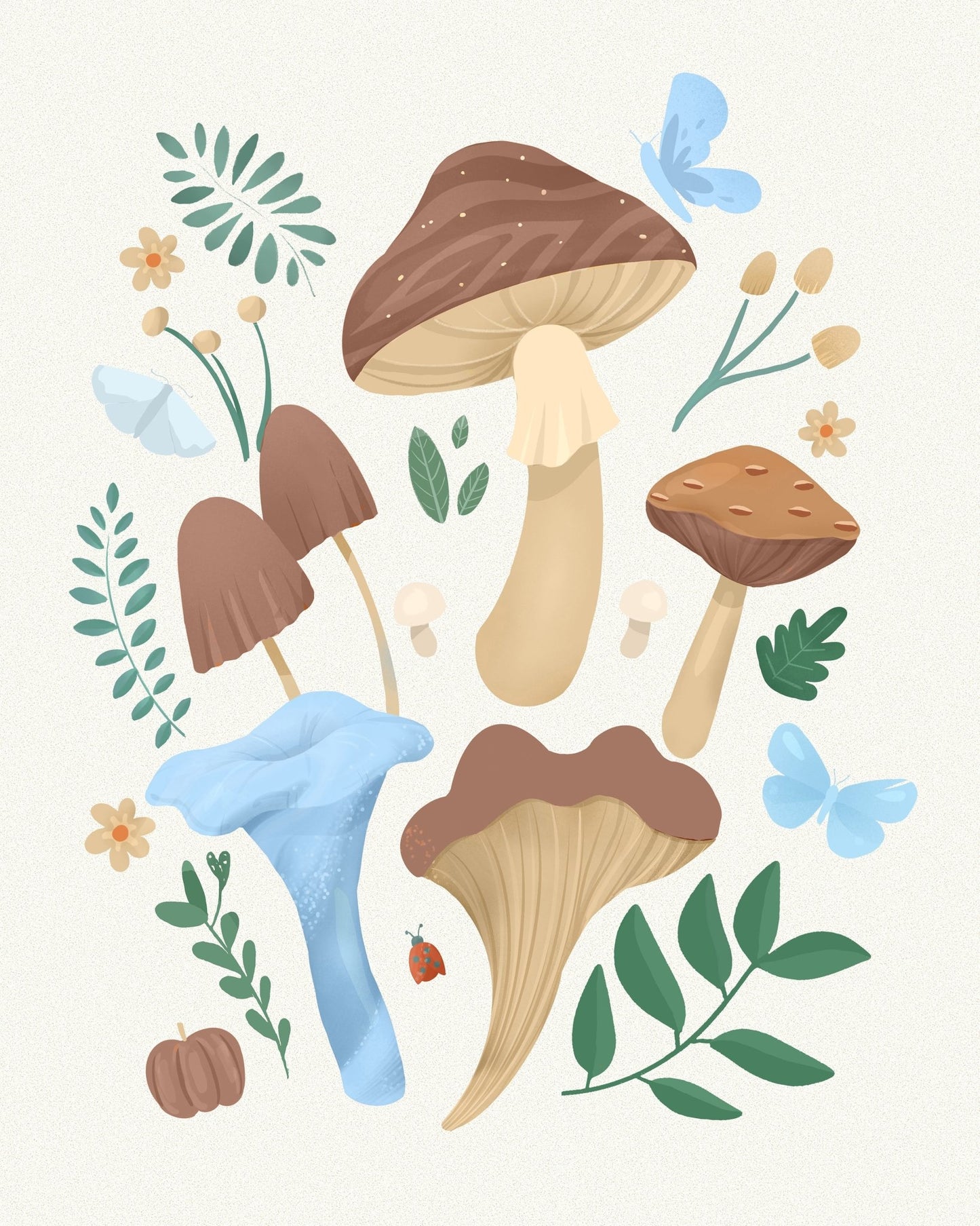 Mocha Mushroom Set