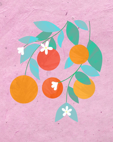 Orange Blossom Branch No1