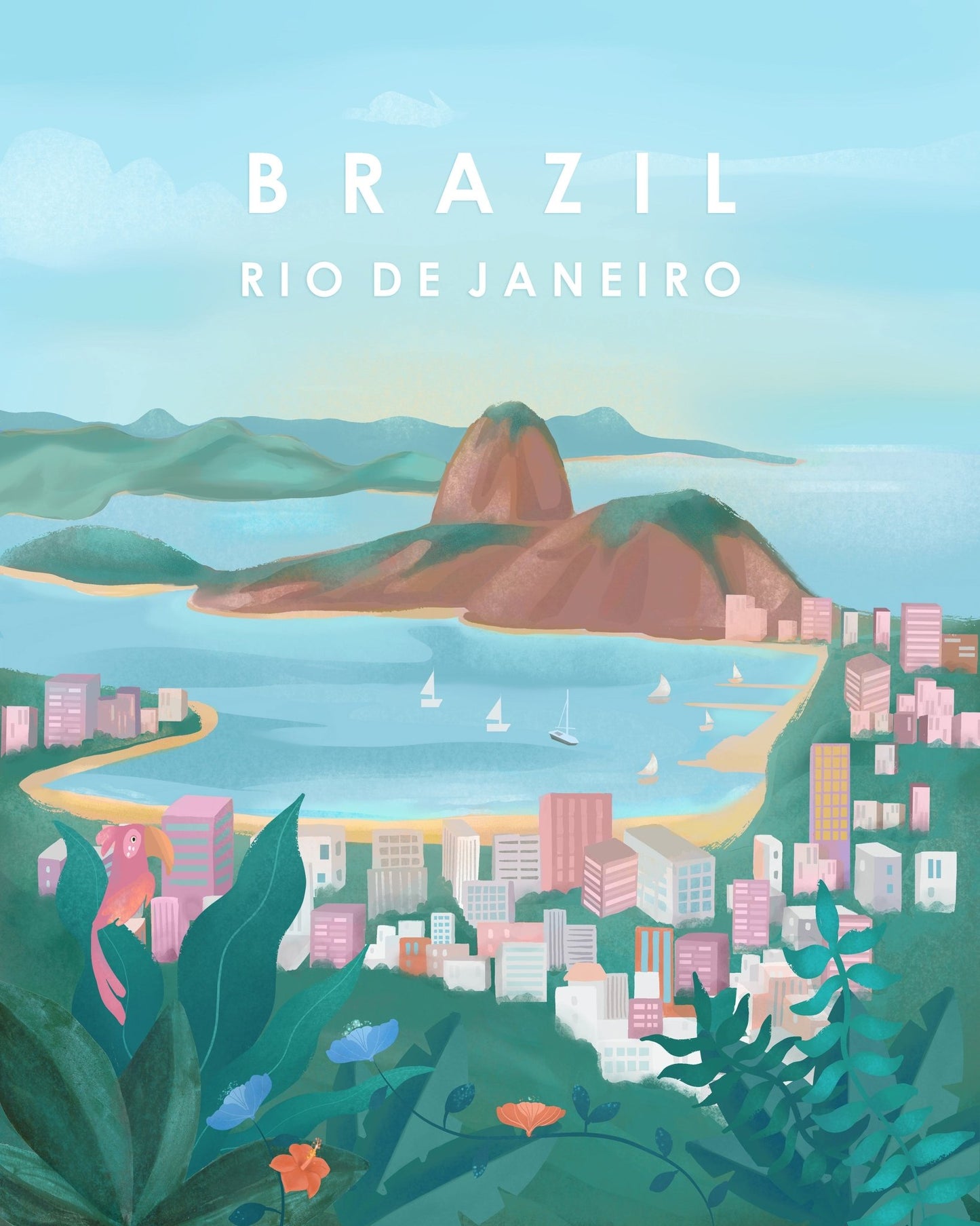 Rio De Janeiro View