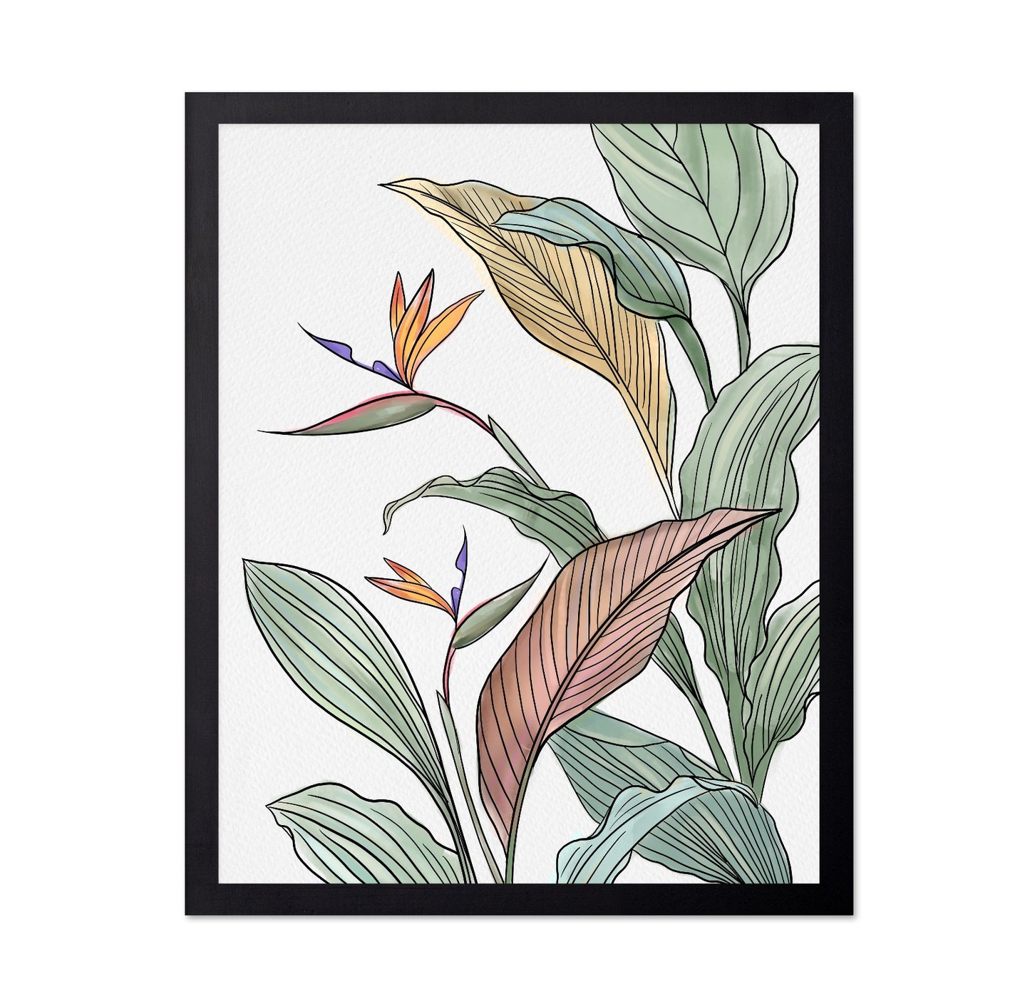 Bird Of Paradise Leaves