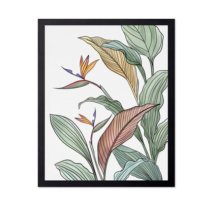 Bird Of Paradise Leaves