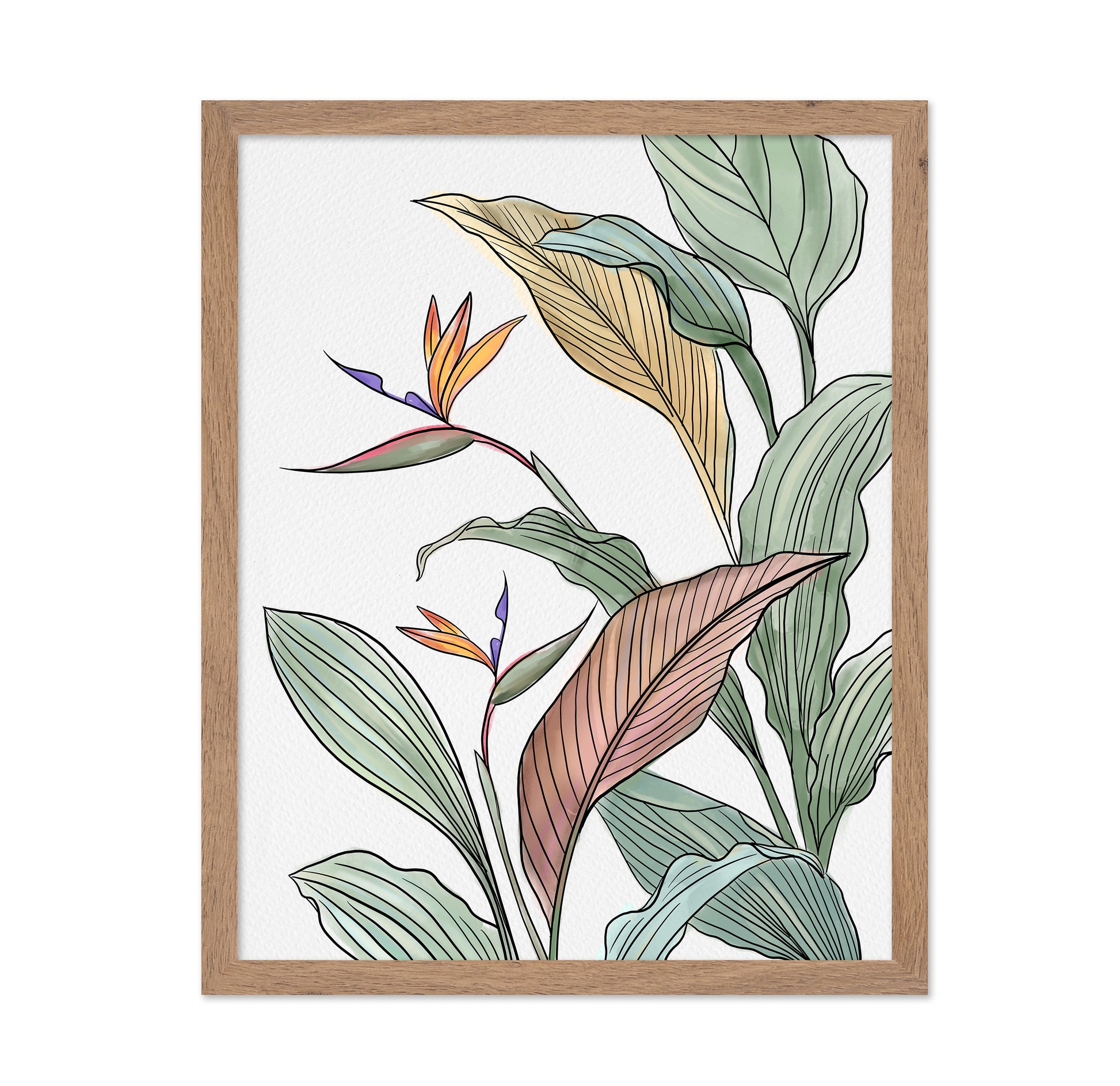 Bird Of Paradise Leaves