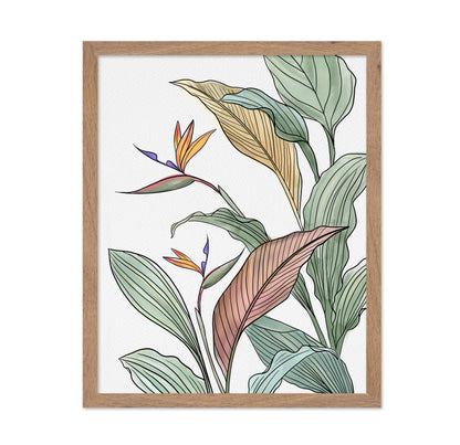 Bird Of Paradise Leaves