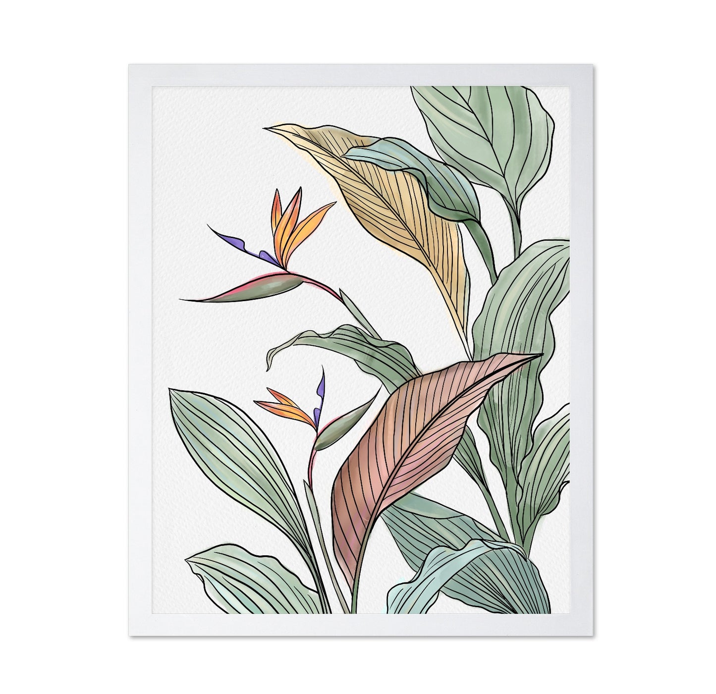 Bird Of Paradise Leaves