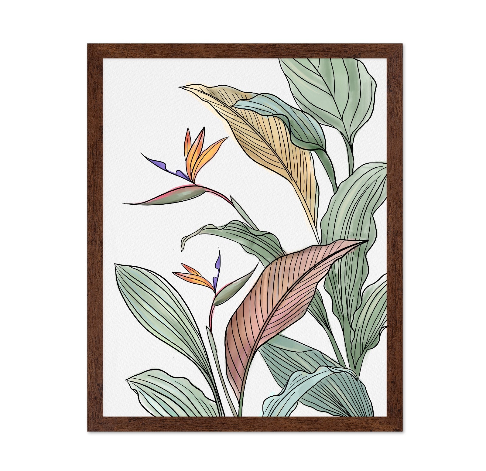 Bird Of Paradise Leaves