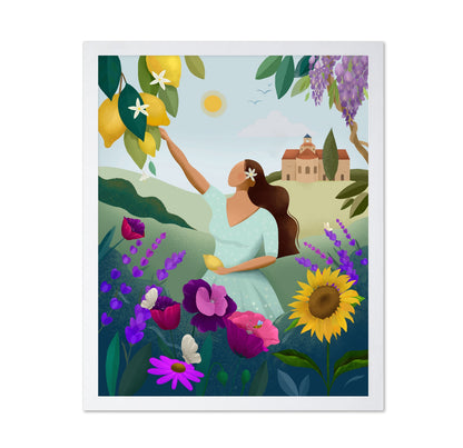 Provence Summer