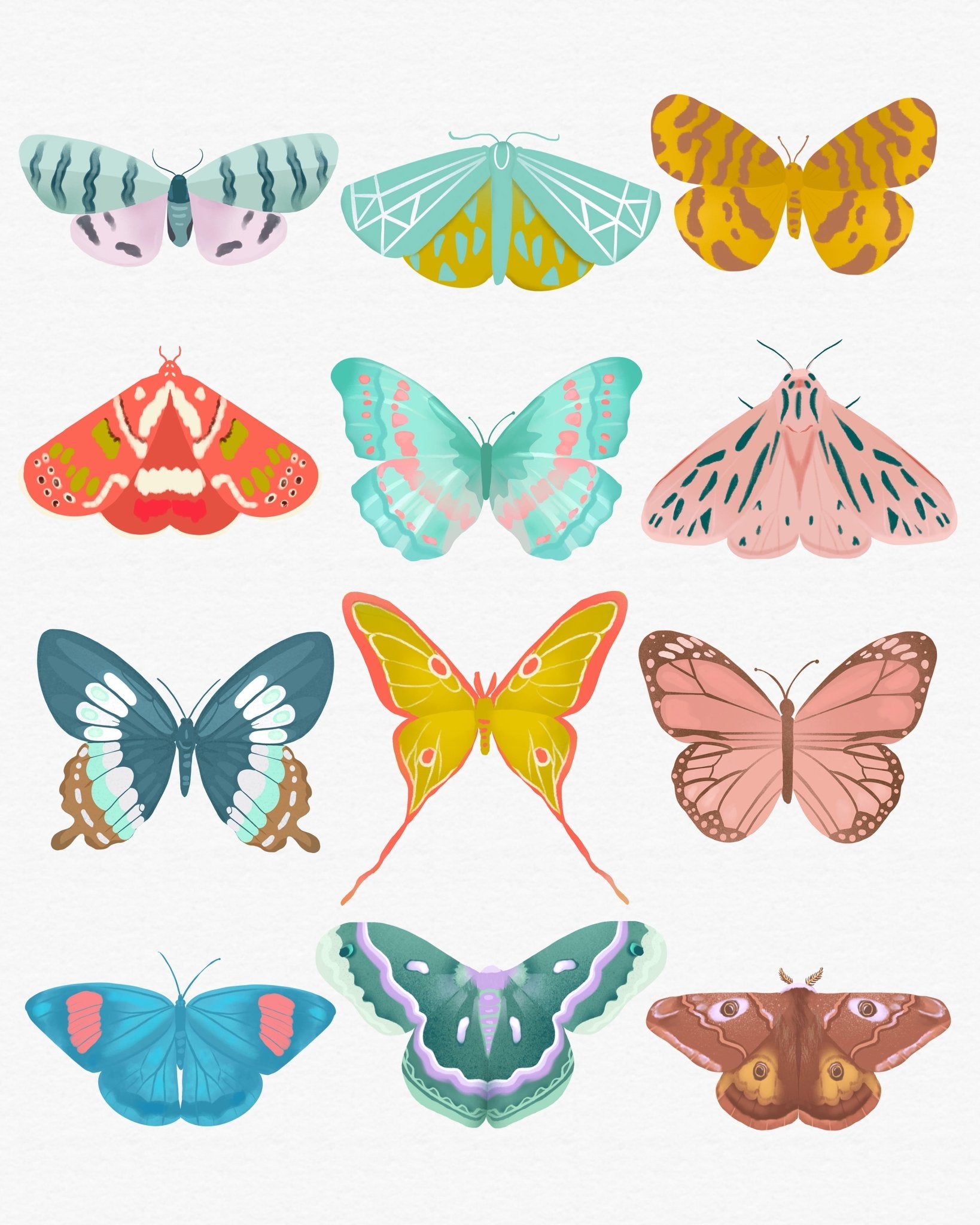 Butterfly Collection