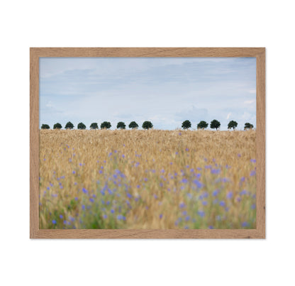 Nordic Wheat Field