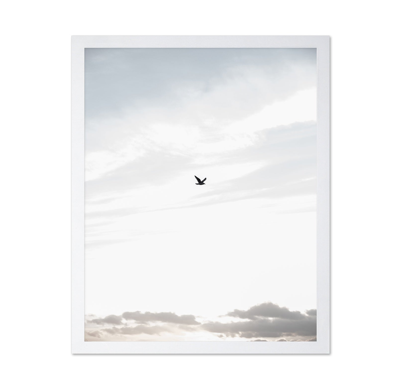 Lone Bird in Sky
