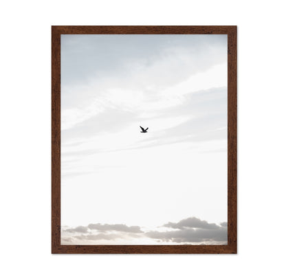 Lone Bird in Sky