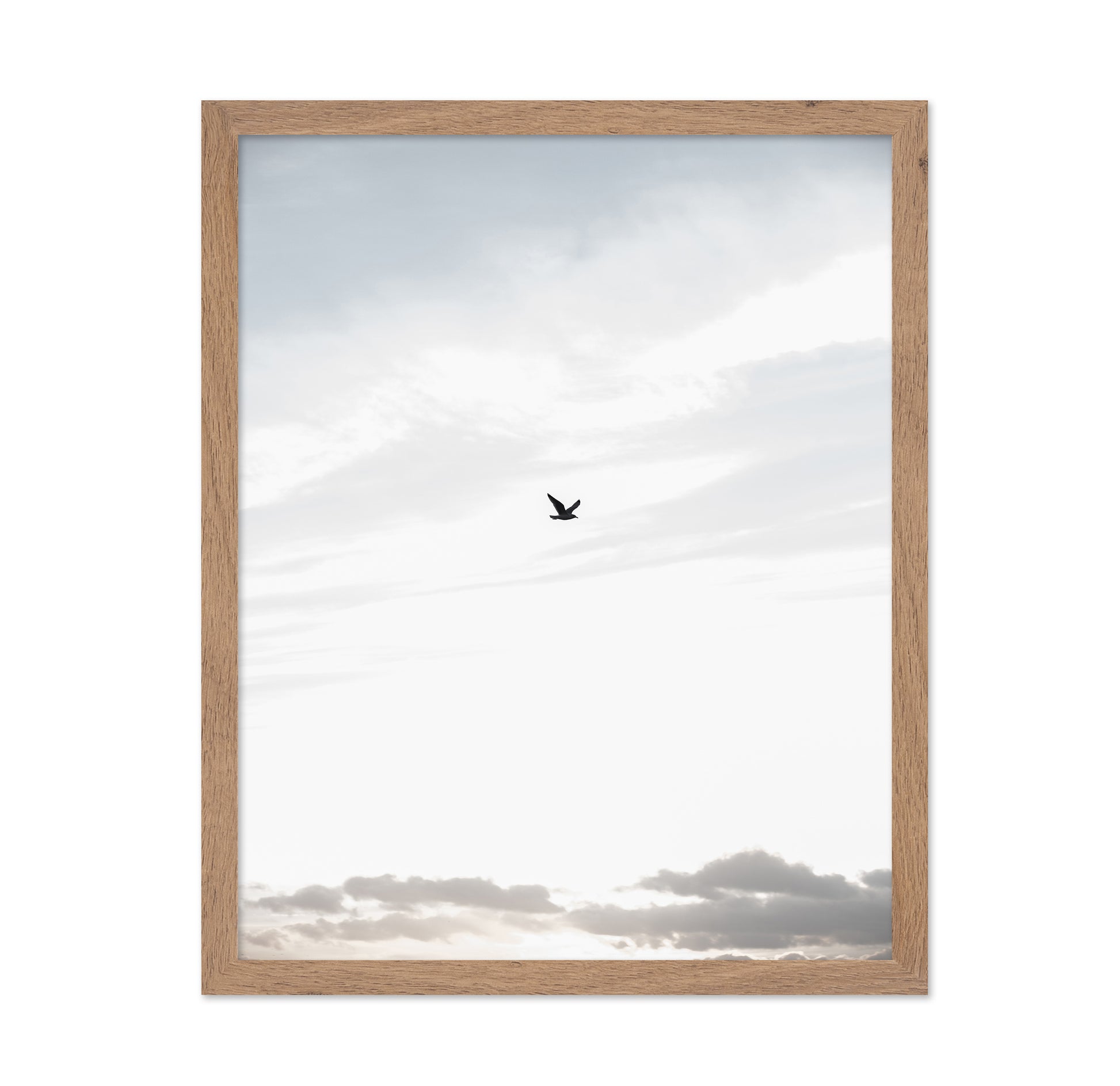 Lone Bird in Sky