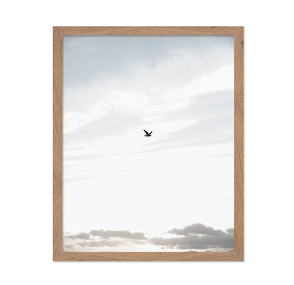 Lone Bird in Sky