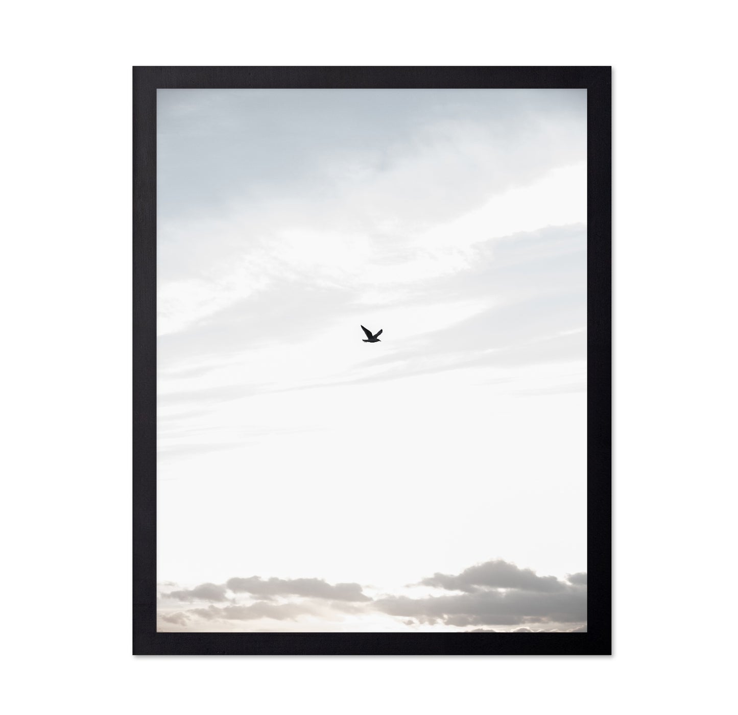 Lone Bird in Sky