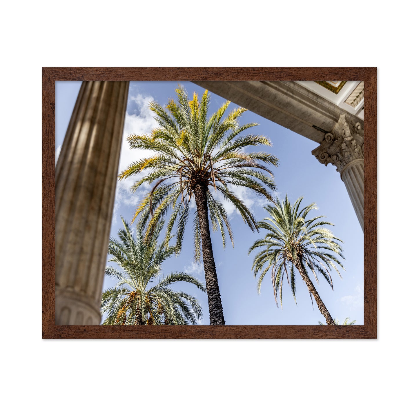 Sicilian Palm View